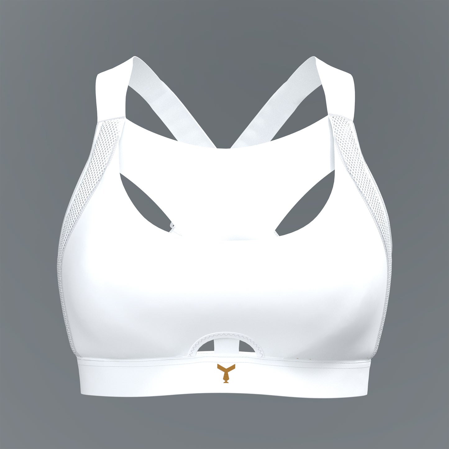 The Ultimate High-Impact Sports Bra